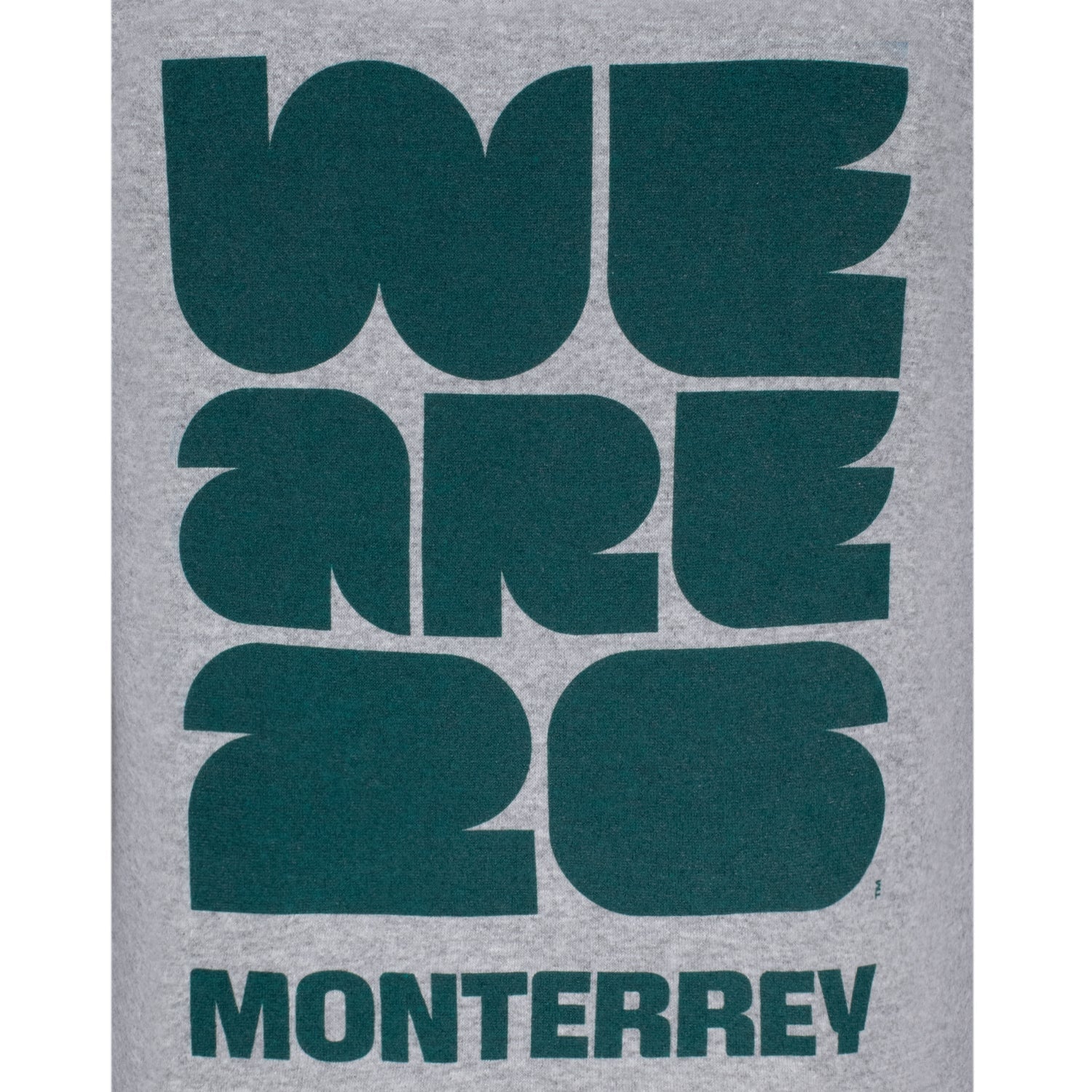 FIFA World Cup 2026? Monterrey Grey Hoodie - Unisex - Image 4