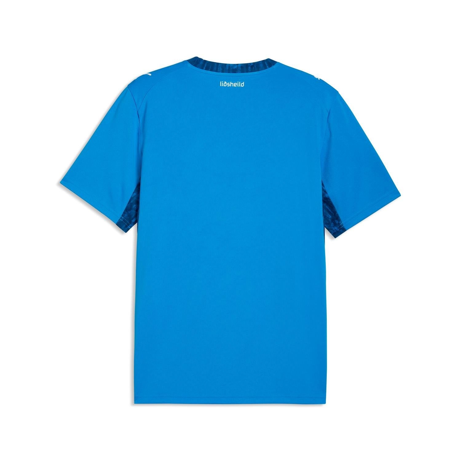 Iceland 2026 Home Jersey - Men's - Image 2